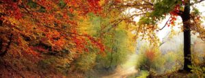 herbst